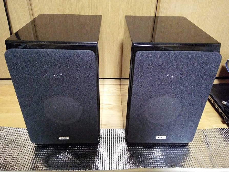 Amazon.co.jp: TEAC 2ウェイスピーカーシステム ブラック LS-H265-B