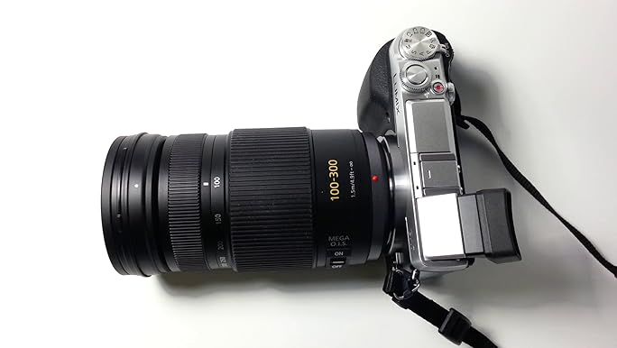 Amazon.com : PANASONIC LUMIX G VARIO LENS, 100-300MM, F4.0-5.6