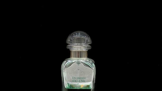 Amazon.com : Un Jardin Sur Le Nil by Hermes 3.3 oz Eau de Toilette