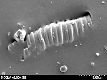 Amazon.co.jp: 電磁波防御 cmcbioペンダント : ファッション
