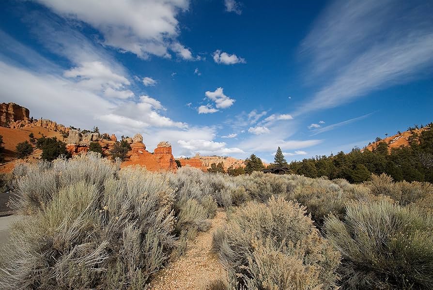 Amazon.com : Tamron Auto Focus 10-24mm f/3.5-4.5 SP Di II LD