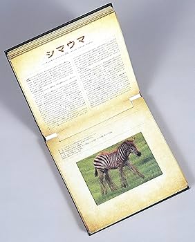 Amazon.co.jp: サファリ (しかけえほん) : キャロル・カウフマン, ダン