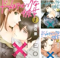 ドメスティックな彼女 (全28巻) Kindle版