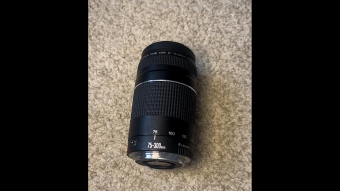Amazon.com : Canon EF 75-300mm f/4-5.6 III Telephoto Zoom Lens