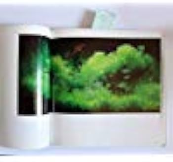 Amazon.co.jp: 水-自然への回帰: 天野尚作品集 : 天野 尚: 本