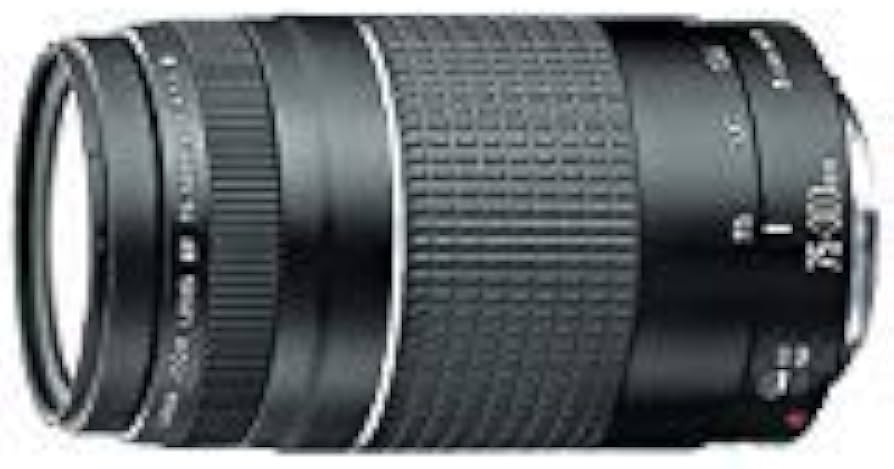 Amazon.com : Canon EF 75-300mm f/4-5.6 III Telephoto Zoom Lens for