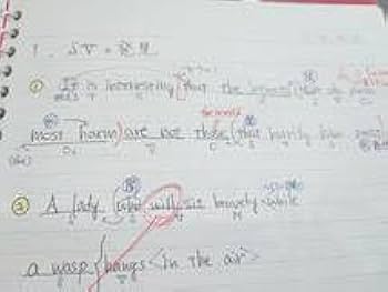 Amazon.co.jp: 駿台 増田悟先生 英語構文S テキスト・プリント・板書