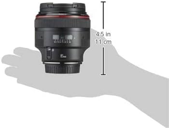 Amazon.com : Canon 85mm F1.2 L II USM EF AF Lens : Camera Lenses