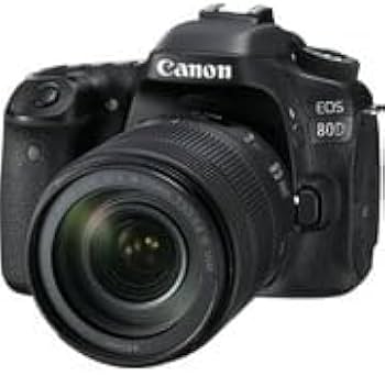 Amazon.com : Canon EOS 80D Digital SLR Kit with EF-S 18-135mm f