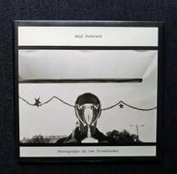 Amazon.co.jp: リー・フリードランダー 洋書写真集 セルフ・ポート