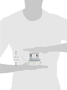 Amazon.co.jp: 大光電機（DAIKO） ダウンライト(軒下兼用) LED