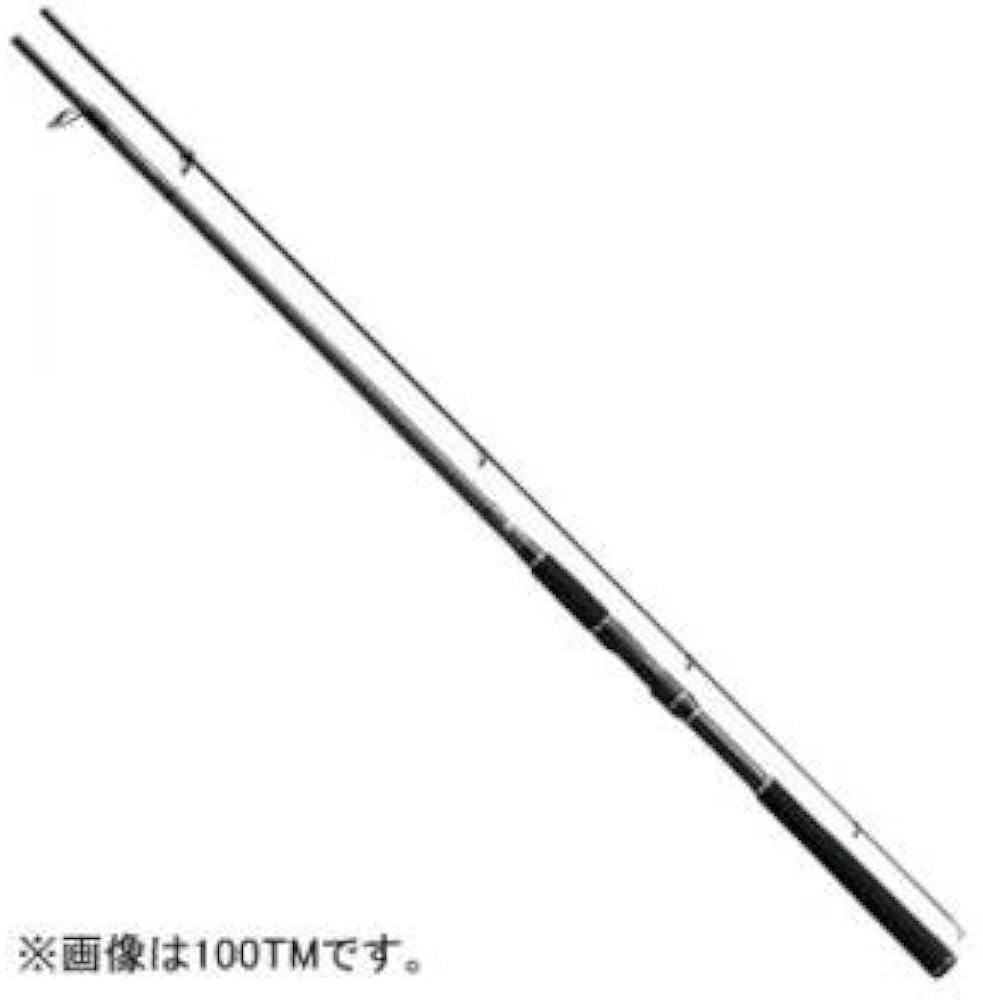 Amazon | ダイワ(DAIWA) シーバスロッド スピニング ラテオ 106ML・Q
