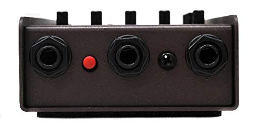 Amazon | L.R.Baggs (エルアールバックス) アコースティックギター用