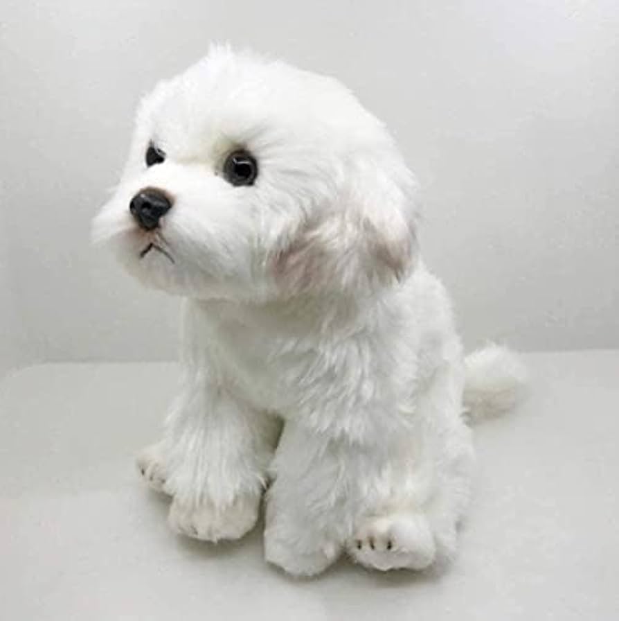 Amazon.co.jp: リアルなマルチーズ犬マルタ子犬ぬいぐるみ Triver