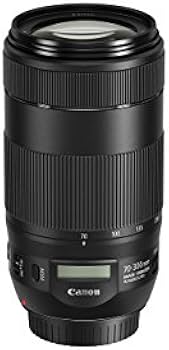 Amazon.com : Canon EF 70-300mm f/4-5.6 IS II USM Lens (Renewed