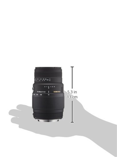 Sigma 70-300mm f/4-5.6 DG Macro Telephoto Zoom Lens for Canon SLR