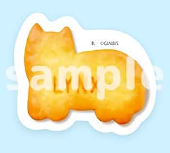 318TKpk56KL._AC_UF350,