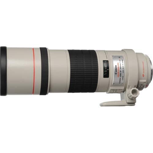 Amazon.co.jp: Canon EF 300mm f/4L IS USM SLR Telephoto lens White