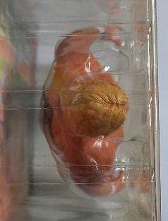 Amazon.co.jp: 新日本プロレス『高山善廣(NWFヘビー級チャンピオン