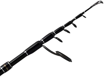 Amazon | パームス(Palms) エゲリアネイティブパフォーマンス ETNS