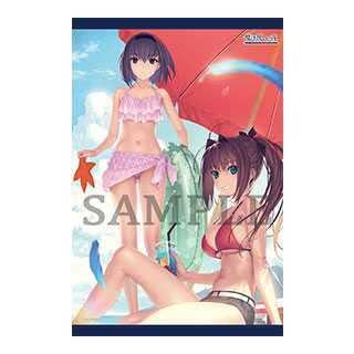 Amazon.co.jp: 魔法使いの夜 ソフマップ購入特典 B2タペストリーこやま