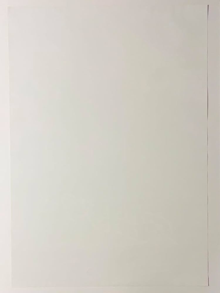 Amazon.co.jp: 家出レスラー B2ポスター 岩谷麻優 平井杏奈 スターダム