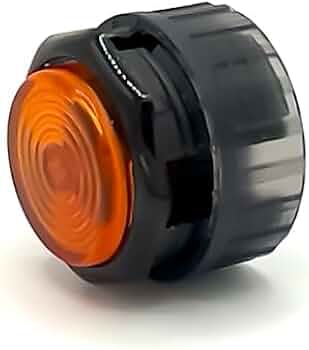 31Nb8LLAYPL._AC_UF350,