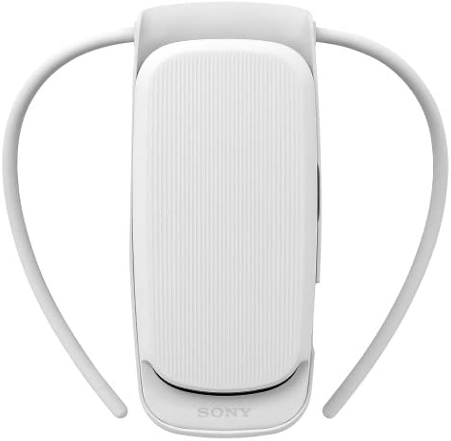 Sony REON POCKET 4 (Leon Pocket 4), Released in April 2023