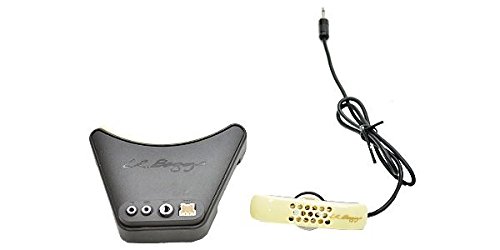 Amazon.co.jp: L.R.Baggs ◇上位バージョン Anthem