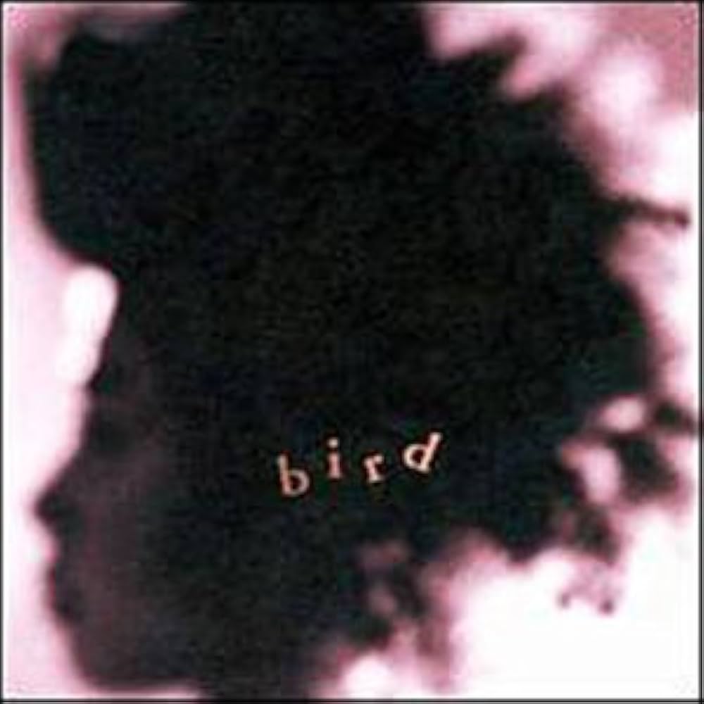Amazon.co.jp: Bird: ミュージック