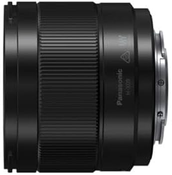 Amazon.com : Panasonic LUMIX Micro Four Thirds Camera Lens, Leica