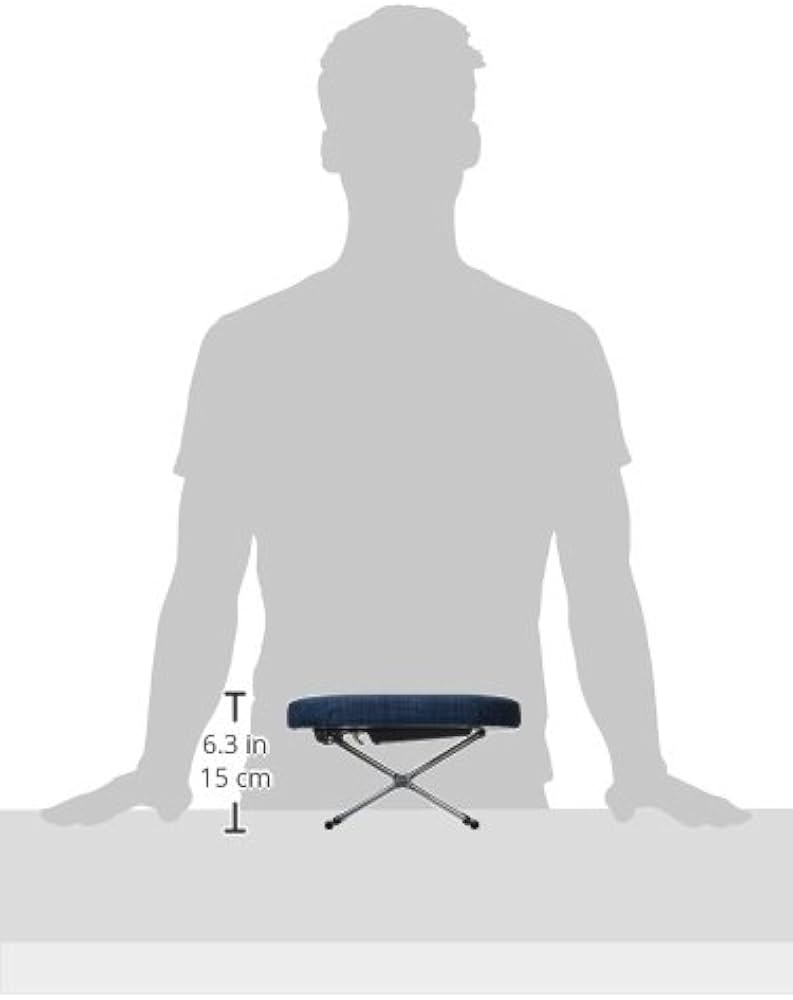 Amazon｜住友産業 らくらく正座椅子 (3段切替式) N-2-3 青無地｜座椅子