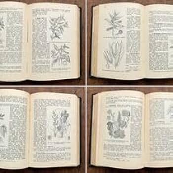 Amazon.co.jp: アンティークチェコの古い植物図鑑(Stromy a kre ovocne