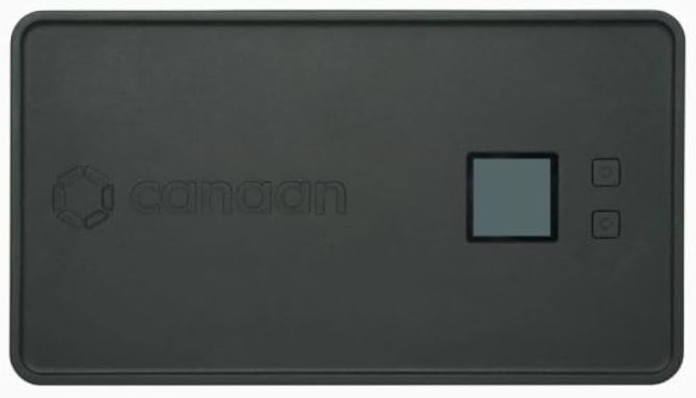 Amazon | Canaan Avalon Nano 3 BTC マイナー ビットコインマイナー