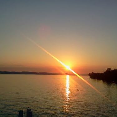 Amazon.co.jp: ヘイル・トゥ・ザ・シーフ (CCCD): ミュージック