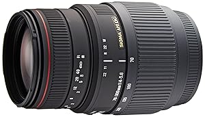 Amazon.co.jp: SIGMA 望遠ズームレンズ APO 70-300mm F4-5.6 DG MACRO