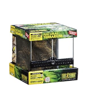 Amazon | エキゾテラ GEX EXOTERRA グラステラリウム 3030 PT2600
