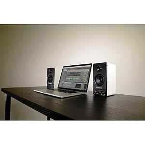 Amazon.co.jp: ローランド モニタースピーカーRoland STEREO MICRO