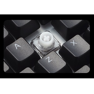 Amazon.co.jp: 東プレ REALFORCE RGB US 108キーUSB英語配列 1680万色