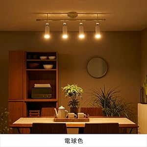 Amazon.co.jp : LOWYA ロウヤ スポットライト LED照明 ダクトレール用