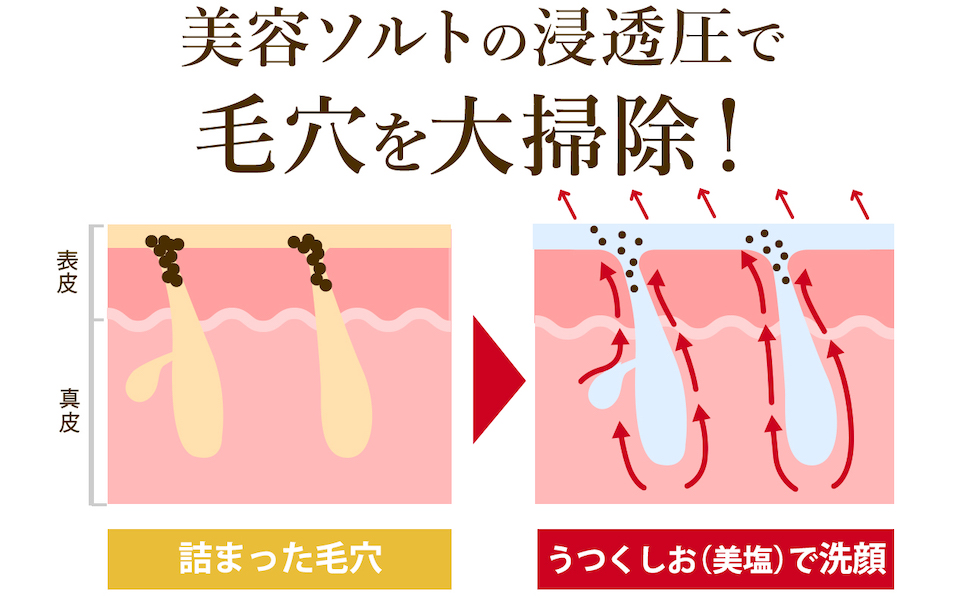 Amazon | 【肌断食専用】うつくしお（美塩）洗顔料 | 肌断食研究所