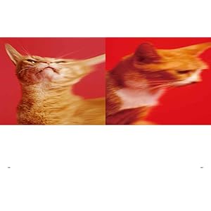 スピッツのデザイン 予約特典版 | MdN編集部 |本 | 通販 | Amazon