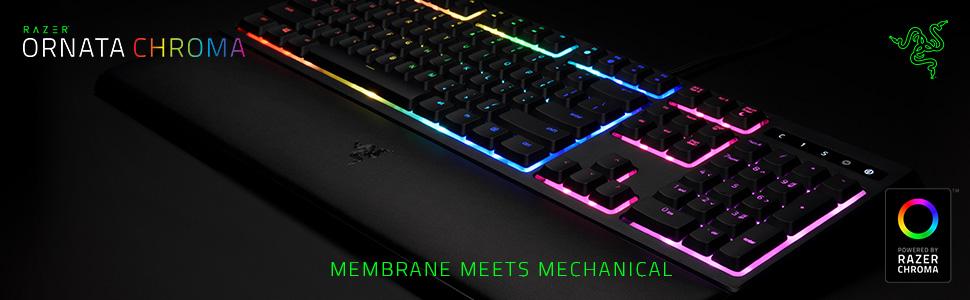 Amazon.co.jp: Razer Ornata Chroma 英語配列 マルチライティング メカ