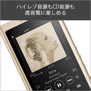 Amazon | ソニー ウォークマン Aシリーズ 16GB NW-A55 : MP3プレーヤー