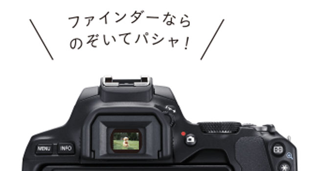 Amazon | Canon デジタル一眼レフカメラ EOS Kiss X10 ボディー