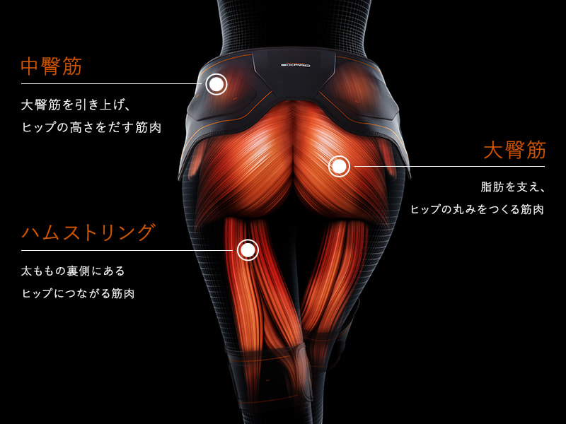 Amazon.co.jp: MTG SIXPAD シックスパッド ボトムベルト L(Bottom Belt