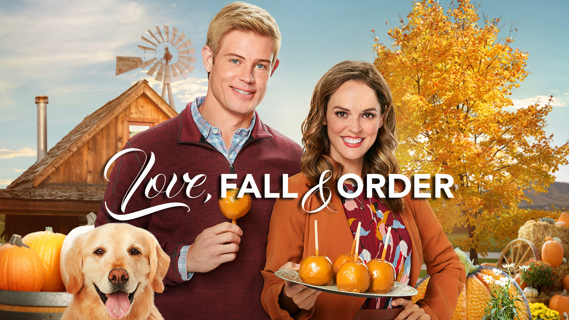 Watch Love, Fall & Order | Prime Video