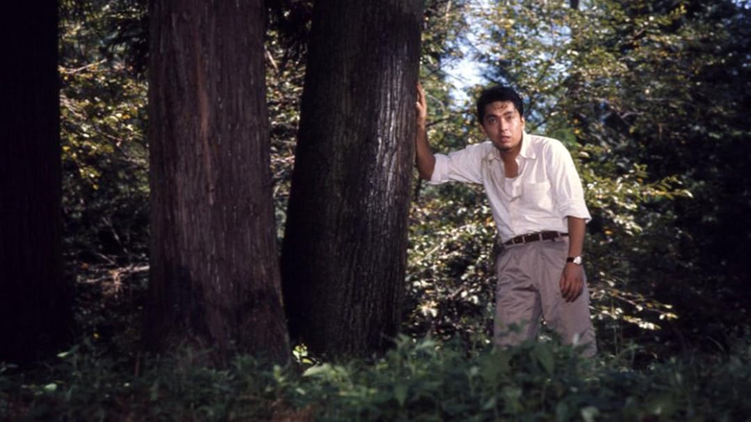 Amazon.co.jp: 続・人間革命を観る | Prime Video