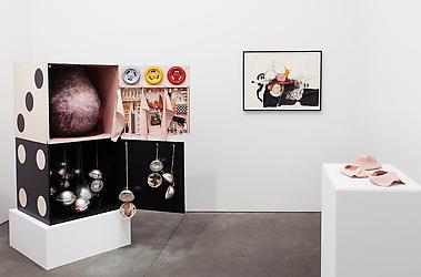 Hannah Wilke - Artist - Andrea Rosen Gallery