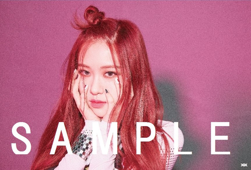 NEW SINGLE「DDU-DU DDU-DU」